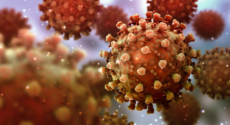 This Is How Your Immune System Reacts to Coronavirus