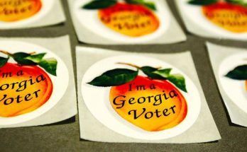 Georgia voter